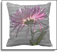 Purple Passion Designer 16 x 16 Throw Pillow